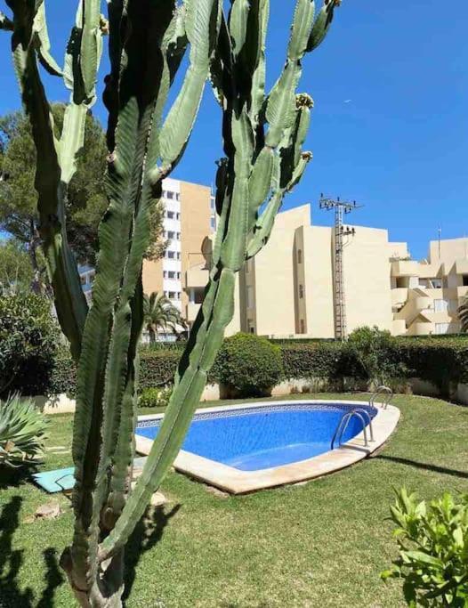 Apartment El Canal *